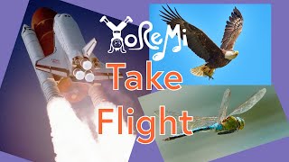 Take Flight Adventure  Kids Yoga Music and Mindfulness with Yo Re Mi [upl. by Saval]