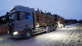 Loading Pine Pulpwood with the new Truck next to the military zone [upl. by Truelove]