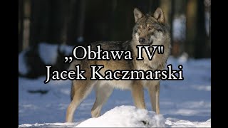 Obława IV  Jacek Kaczmarski TEKST [upl. by Rizika689]