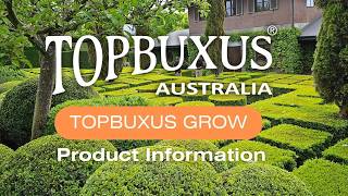 Topbuxus® Grow Information Guide [upl. by Gomer]