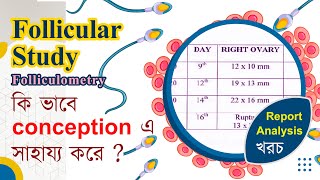 Follicular Study  Folliculometry  সম্পর্কে বিস্তারিত ধারনা  The Bong Parenting [upl. by Ramhaj]