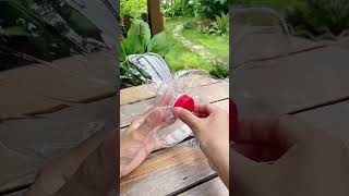 Techniques planting bottle plastic grow flowers so beautiful garden flowers plants flower diy [upl. by Anitselec]