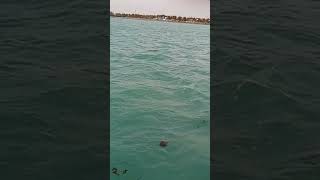 Yanbu Saudi Arabia Beautiful view [upl. by Animaj]