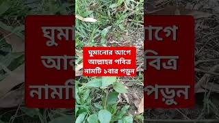 plants bangla amazingfacts nature science [upl. by Tabatha663]