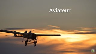 Aviateur  Véronique Jannot Paroles [upl. by Hochman752]