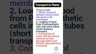 Transport in Plants  Three Levels of Transport in Plants  Plant Physiology [upl. by Gaidano]