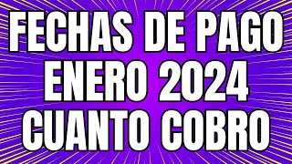 💥 Cuando Y Cuanto COBRO en ENERO 2024 JUBILADOS y PENSIONADOS PNC PUAM Y TARJETA ALIMENTAR Anses [upl. by Eam]