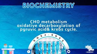 L16 CHO metabolism Oxidative decarboxylation of pyruvic acid and Krebs cycle  Biochemistry [upl. by Livi222]