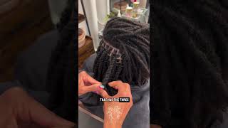 How to 3 Strand Twist Locs locstyles retwist locs dreads twists locstyles knottyloclab [upl. by Sigler]