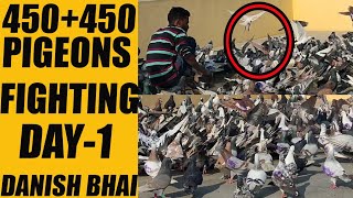 Pigeons Fighting 450 Pigeons Loft  Brother Danish VS Umair Bhai  Hunting Catching Capture DAY1 [upl. by Eniamsaj]