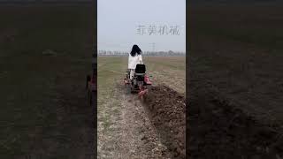 The most popular plow tractor for farmers farmer agriculture shorts N351 [upl. by Haropizt]