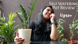 Self watering Pot Review  ugaoo  Buy Plants online [upl. by Thordia480]