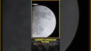 Super Harvest Moon Eclipse 2024 [upl. by Beore]