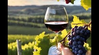 quotEl Arte de la Fabricación del Vino Desde la Vid hasta la Botellaquot [upl. by Nolur]