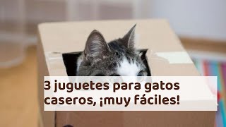 3 juguetes para gatos caseros ¡muy fáciles [upl. by Klemm726]