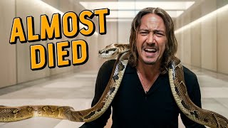 Top 10 DEADLIEST Venomous Animals in the World 2024 [upl. by Eleumas308]