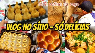 VLOG NA ROÇA LEITE FRESCO DIRETO DO CURRAL PAI FEZ COXINHA CASEIRA PÃO DE FOGÃO A LENHA E MAIS [upl. by Alih]