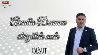 Călinuț  Ascultă Doamne strigătele mele  Live [upl. by Conroy]