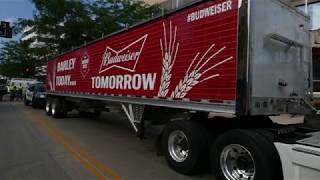 Barley Beer Budweiser [upl. by Oderf399]