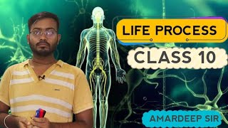 Life process ll class 10 Biology ll Part 02 [upl. by Elbert336]