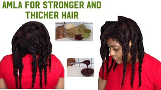 Amla Powder For Fast Hair Growth Grow Thicker Hair With Amla Ayurveda Hair Mask Herbal Mask DIY [upl. by Aiuoqes532]