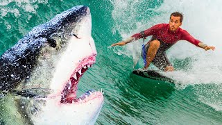 Marine Biologist Has Crazy Gut Instinct While Surfing In Australia Shocking Truth Revealed [upl. by Jerold656]