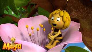 The Treehouse  Maya the Bee🐝🍯🐝 [upl. by Noicpesnoc999]