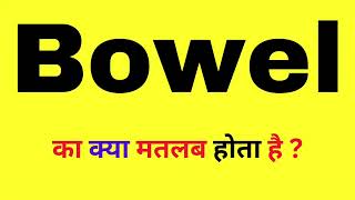 Bowel Meaning in Hindi  What Is Bowel  Bowel Ka Matlab Kya Hota Hai  Bowel In Hindi [upl. by Buell]