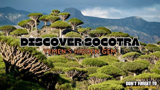 Discover Socotra Yemens Hidden Gem [upl. by Newcomb]