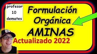 AMINAS Formulación Orgánica ✅ Ejemplos y Ejercicios resueltos Nombrar y Formular [upl. by Namurt]