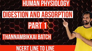 Digestion and Absorption  Part 1  Thannambikkai Batch  NCERT Line to Line [upl. by Audi]