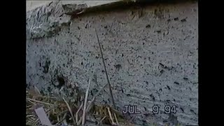 VHS Found Footage  July 9 1994 Ants TimeLapse Analog Aesthetic Stock Footage [upl. by Ahsiuqal915]