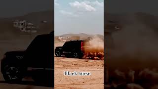 Black horse 💥 sara jamana hasino ka diwana status attitude reels black [upl. by Grim]