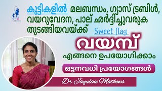 Sweet flag  vayamb  കുട്ടികളിലെ വയമ്പിന്റെ ഉപയോഗങ്ങൾ മനസിലാക്കാം  Dr Jaquline Mathews BAMS [upl. by Ashley]