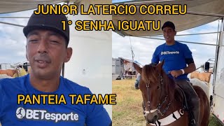 JÚNIOR LATERCIO ACABA CORRE 1° SENHA PANTEIA TAFAME PQ MARCIO NOGUEIRA [upl. by Esiom]