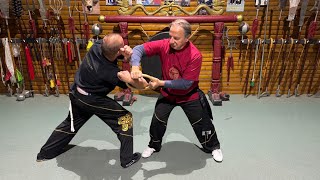 Grandmaster Walter Toch explain Tan Sao in selfdefense Wing Chun [upl. by Lanae82]