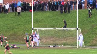 Irish Daily Mail Fitzgibbon Cup Secondhalf Highlights  UL 113 LIT 216 [upl. by Meli]