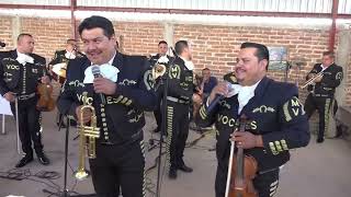 LA ENORME DISTANCIA MARIACHI VOCES DE AYUTLA 4K [upl. by Nel413]