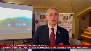 La conoscenza dellamarone con lonav Molise  Trsp  news del 111024 [upl. by Luamaj]