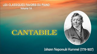 CANTABILE – Johann Nepomuk Hummel [upl. by Dlabihcra831]