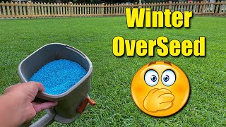 Winter Over Seeding Your Lawn  The problems [upl. by Ong]