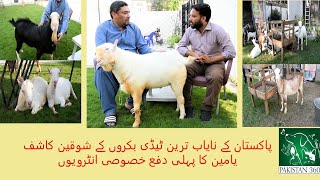 Pakistans most beautiful Goats  KK goat farm  Teedi Breed [upl. by Hayden57]