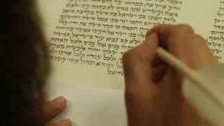 RABBI Bressman Sofer Torah Conclusion [upl. by Carlene862]