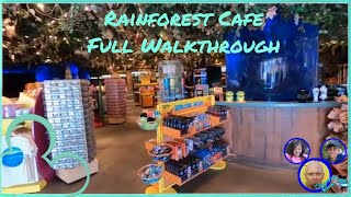 Rainforest Cafe Full Walkthrough  Disney Springs Gift Shop And Restaurant  Walt Disney World [upl. by Jolanta]