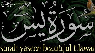 surah yaseen fast recitation  surah yaseen tilawat  surah yaseen  Learn Quran by yourself [upl. by Winikka]