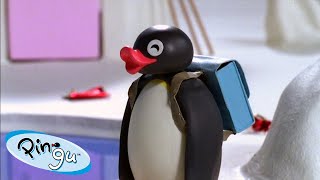 Best Episodes from Season 6  Pingu  Official Channel  Cartoons For Kids [upl. by Nyrahs]