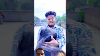 Ab thik h funny comedy prank tarendingvideo shorts short realfoolscomedy akhilarya bangla [upl. by Debo]