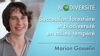 Succession forestière et biodiversité en milieu tempéré [upl. by Eceerehs88]