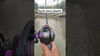 Zing Zing Bc Zorro Colorful tipsmemancing shortvideo fishing mancing feed [upl. by Eelasor460]