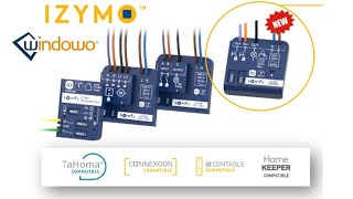 Somfy Izymo Led Dimmer Receiver IO  Micromodulo per Lampadine [upl. by Pembrook]